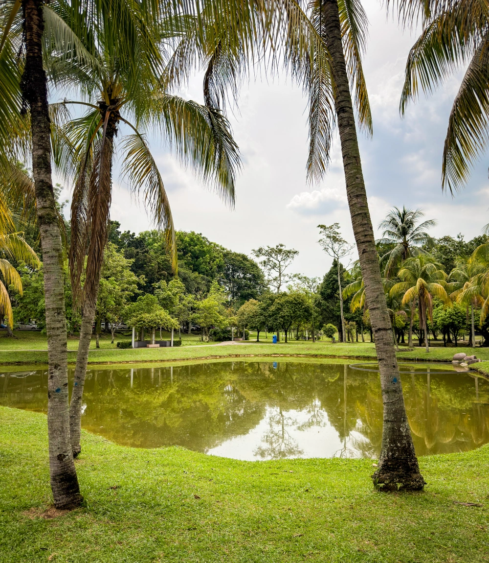 Central Park, Bandar Utama