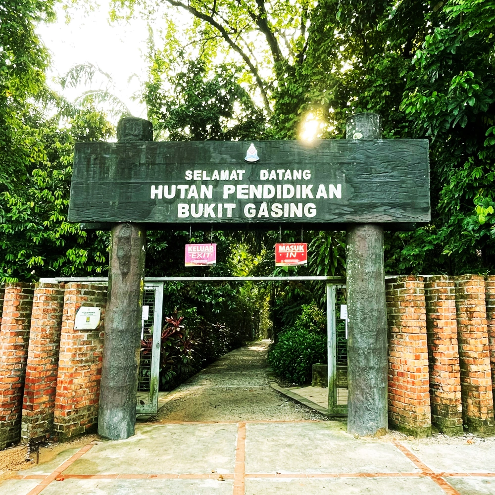 Bukit Gasing
