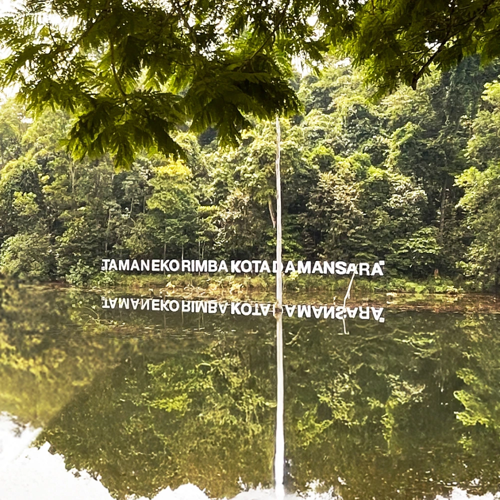 Kota Damansara Community Forest Reserve